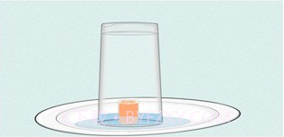 科学活动v1.0.18截图