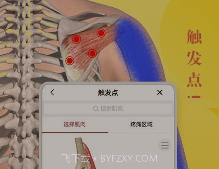 3d人体模型v2.0.18截图