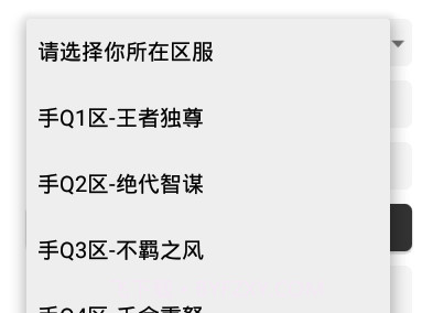 王者任意充值v2.17截图
