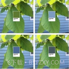 pantonev1.7.18截图