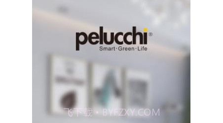 派洛奇智控v1.0.20截图