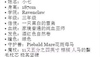 巫师人设生成器v1.18截图