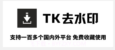 tk去水印v1.0.19截图