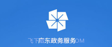 广东政务服务v1.17截图