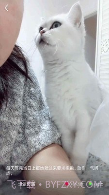 猫咪小视频v1.0.23截图