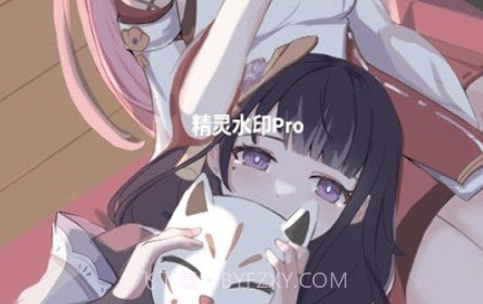 精灵水印prov3.0.21截图