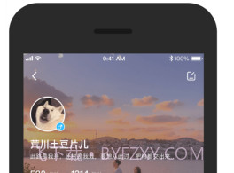 POMEv0.2.14截图