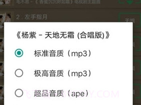 搜云音乐app最新版v2.20截图