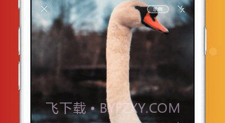 形色识鸟V1.17截图