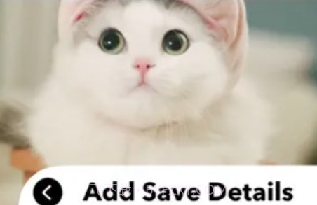 爱猫物语宠物店2023版v3.43.17截图