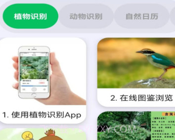 动植助手v1.0.17截图