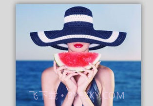 MaxCurvev4.1.18截图