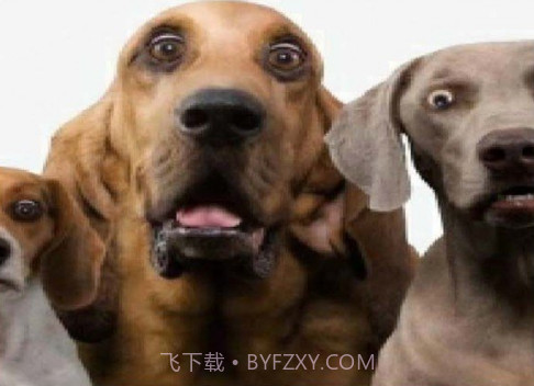 角色对话生成器v3.6.21截图