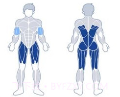 练练健身v23.05.20截图