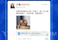 陌陌在线交友V9.9.21截图