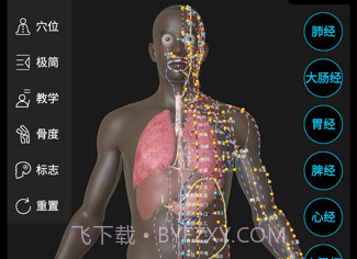 针灸大师v3.0.21截图