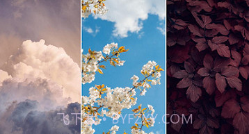 美妙壁纸馆v1.21截图