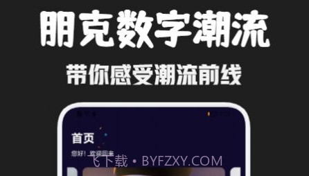 朋克数藏主题壁纸v1.24截图