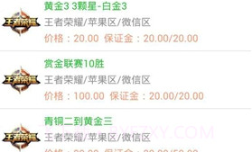 代练宝（冲分平台）V5.5.20截图