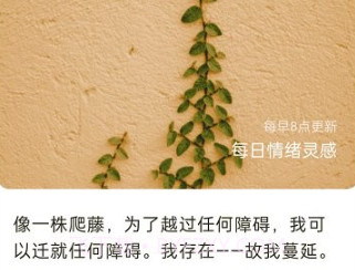 四季来电秀v1.0.21截图