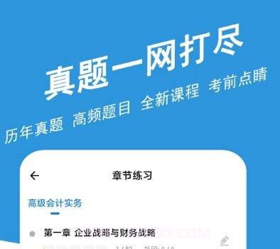 高级会计师练题狗v3.0.0.26截图