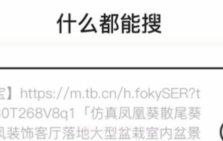 什么都能搜v1.0.0.26截图