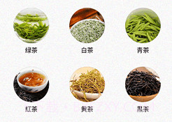 多来喝茶泡茶助手v1.22截图