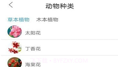 植物品鉴v1.29截图