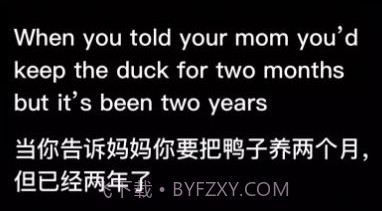 时空壶同传翻译v1.0.21截图