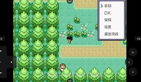 口袋妖怪燃之智v4.0.24截图