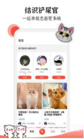 猫猫社截图2 猫猫社截图2