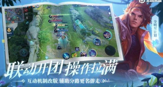 王者荣耀假国标修改器截图2