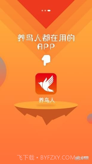 养鸟人截图4 养鸟人截图4