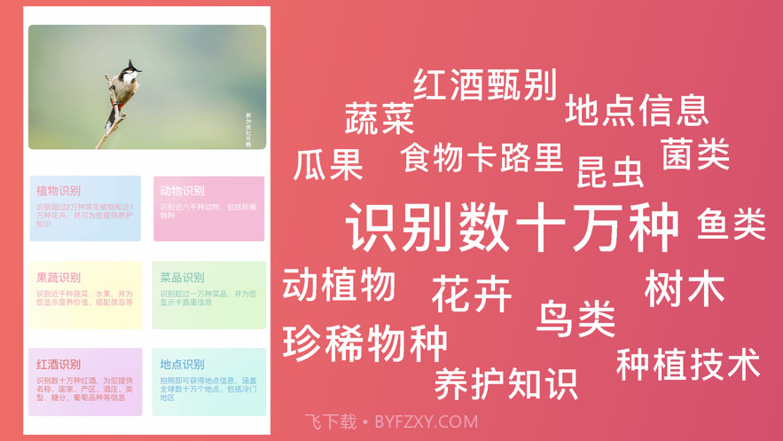 超强识别截图2 超强识别截图2