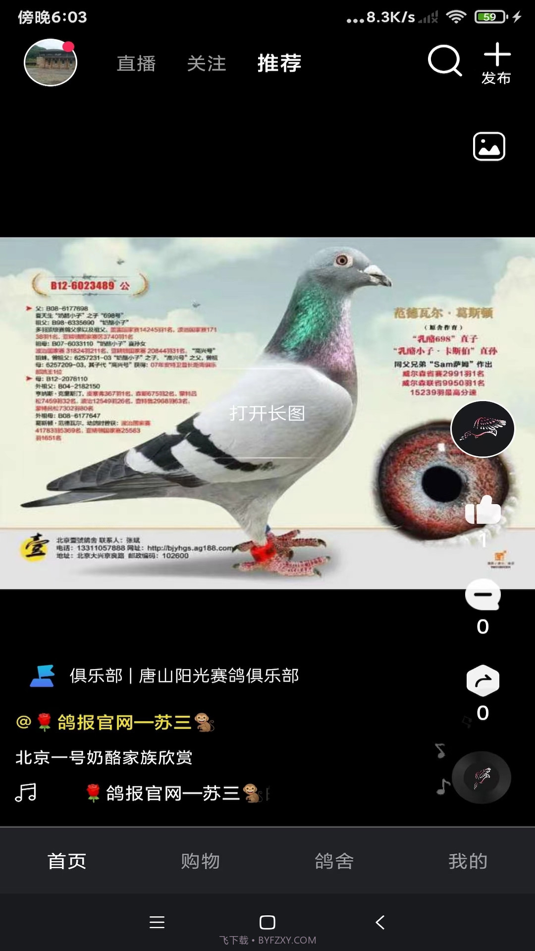 鸽报截图2 鸽报截图2