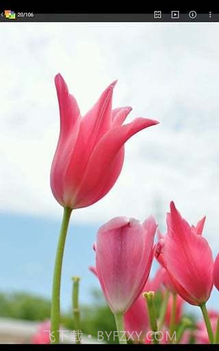 NIKONIMAGESPACE截图3