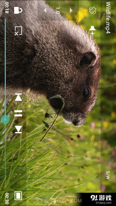 ZZPlayer正式版免费版截图5 ZZPlayer正式版免费版截图5