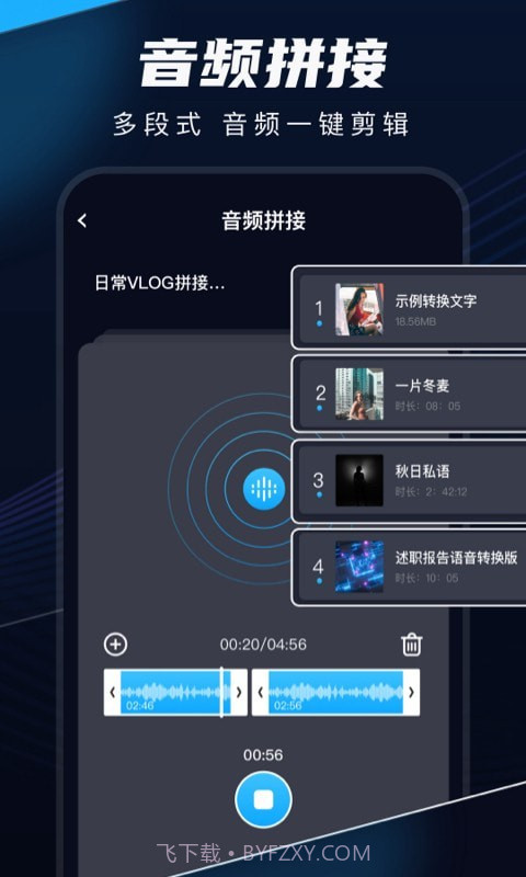 随声录截图2