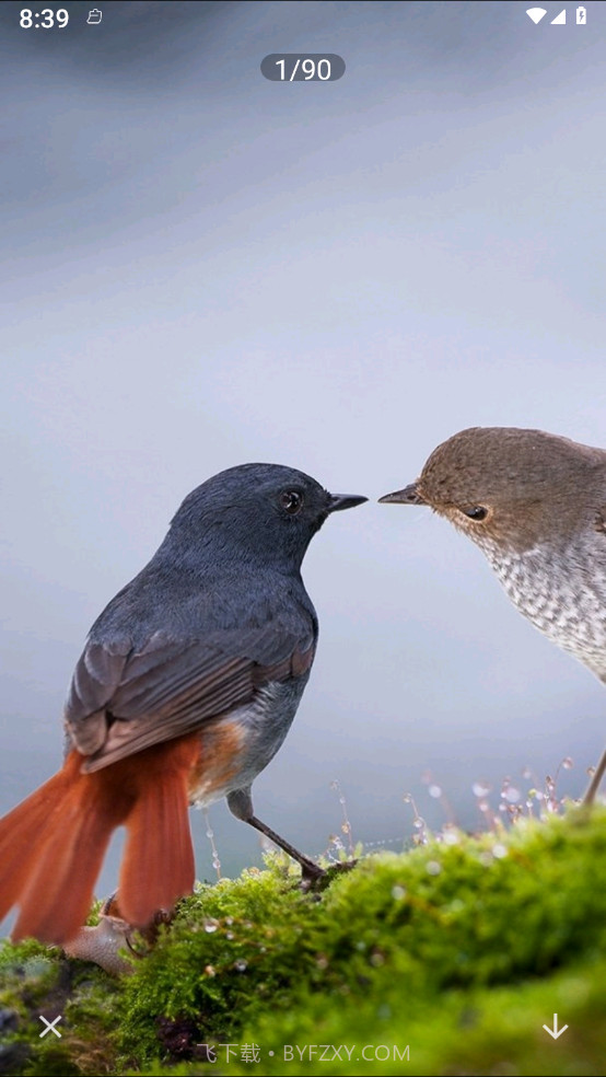 照片拼图呀Pro截图4