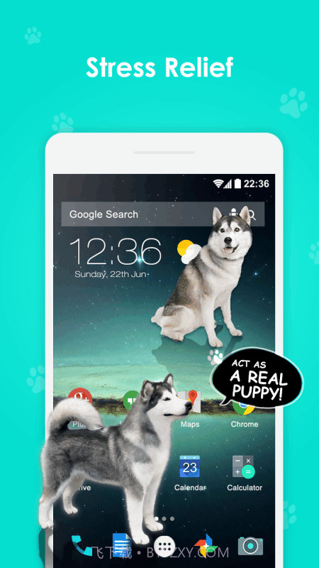 iphonex表情狗说话软件截图1