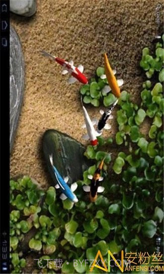 自由锦鲤动态壁纸截图4 自由锦鲤动态壁纸截图4