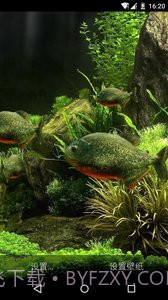 3D食人鱼:梦象动态壁纸截图1 3D食人鱼:梦象动态壁纸截图1