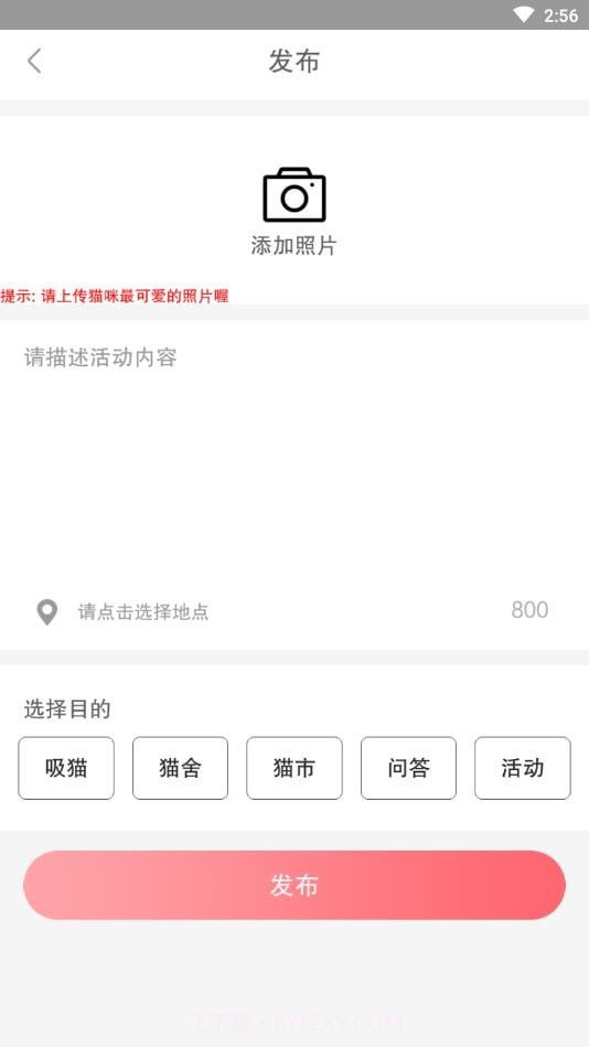 猫咪汇截图4 猫咪汇截图4