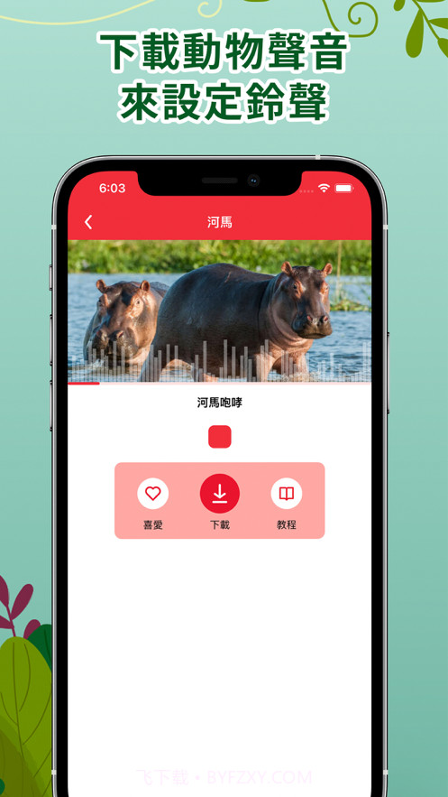 动物声音铃声最新版截图5