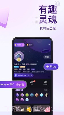 Flag截图5
