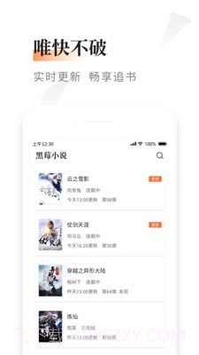 黑莓小说截图3