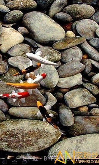 自由锦鲤动态壁纸截图3 自由锦鲤动态壁纸截图3