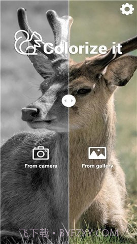 Colorize It截图1 Colorize It截图1