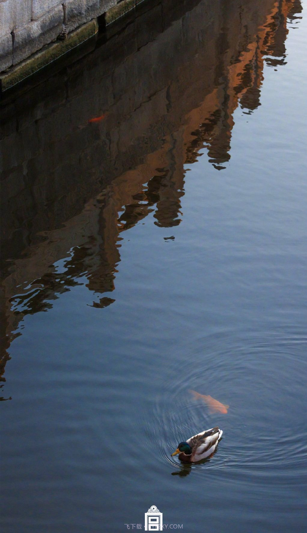 故宫春日温馨壁纸图片截图2 故宫春日温馨壁纸图片截图2
