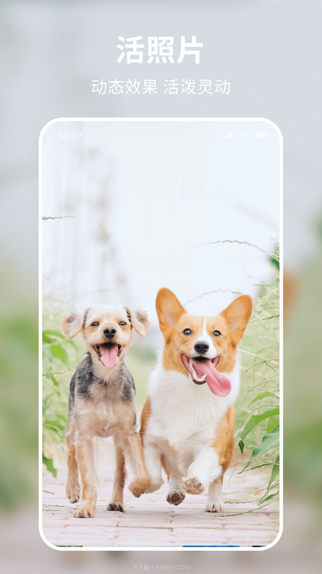 米图秀秀截图5 米图秀秀截图5